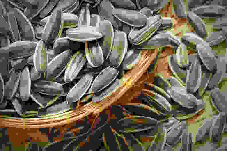 Sunflower Seeds