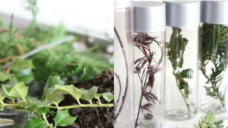 One side shows all of the found nature treasures like leaves and sticks. The other shows a spring nature bottle.