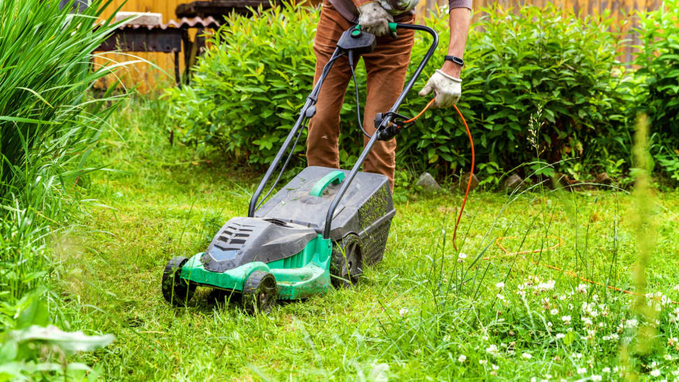 10 common lawn mistakes to avoid making this spring ...