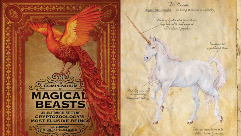 An in-depth look at all creatures magical and mystical.
