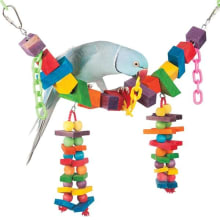 Product image of Rainbow Bridge Bird Toy