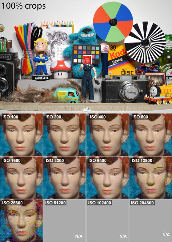 DCI-SCIENCE-PAGE-ROSIE.jpg
