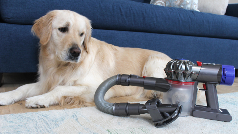 This accessory will only work for calm pets who aren’t scared of the vacuum.