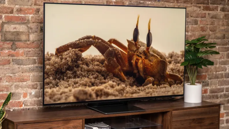 The Samsung S95B displaying 4K/HDR content in a living room setting