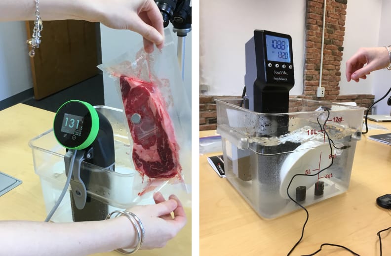 10 Best Sous Vide Immersion Circulators of 2024 - Reviewed