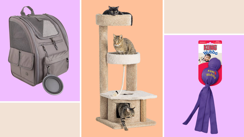 Kong wubba petsmart outlet