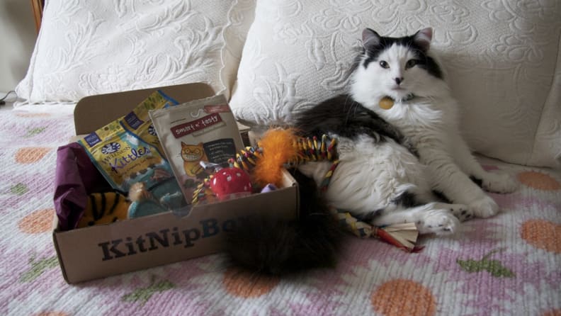 KitNipBox