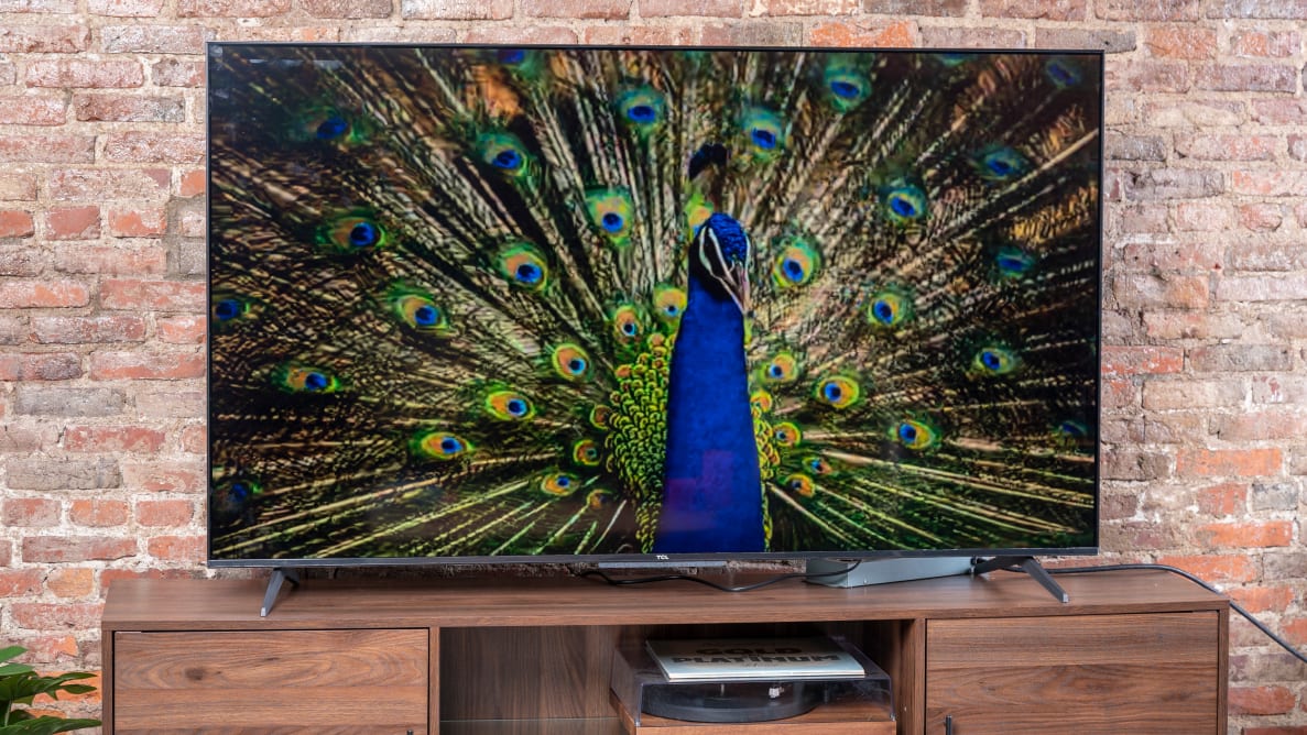 The 65-inch TCL 5-Series with Google TV displaying 4K content in a living room setting