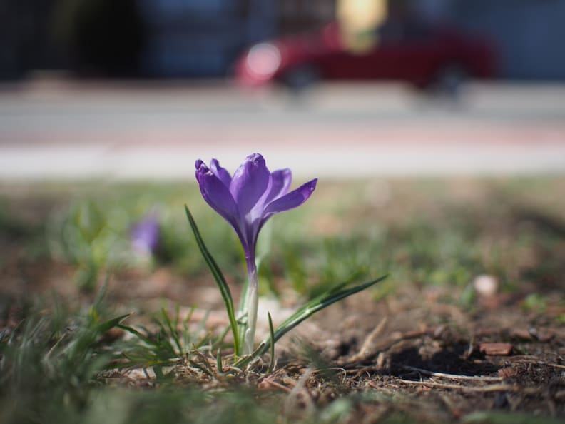 f1.8 copy.jpg