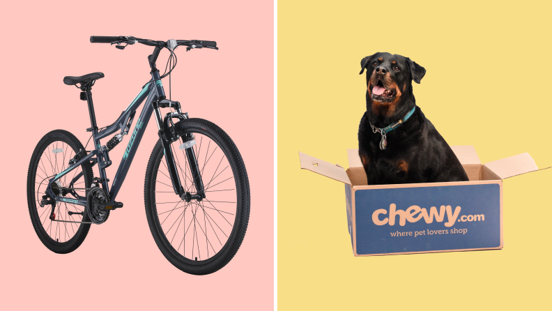 A bike against a pink background on the left and a dog sitting in a Chewy box against a gold background on the right.
