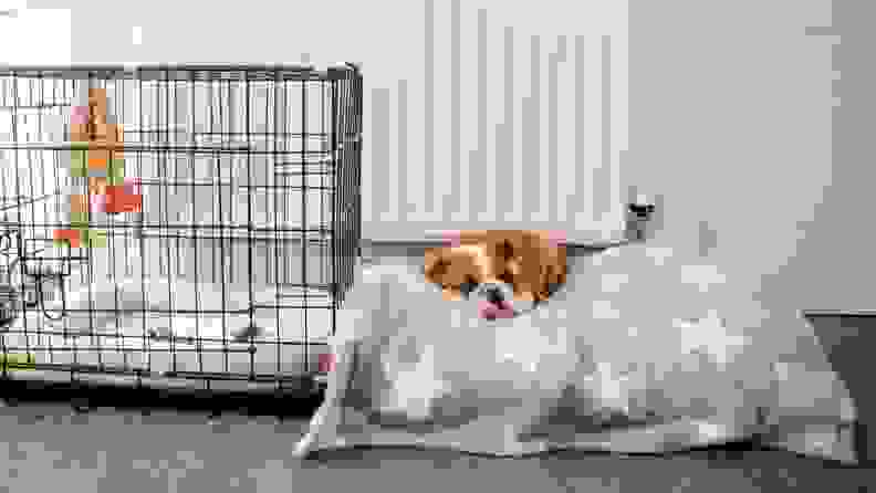 A bull dog lays on a dog bed that's next to a wire dog crate