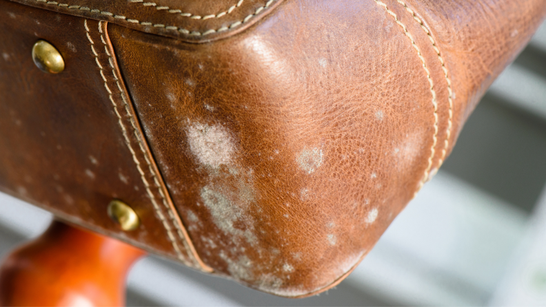 Putting your bag on the floor of a restaurant, salon, or any public place leaves it vulnerable to stains and scuff marks.