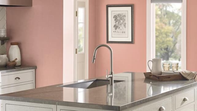 Vintage-Coral-Wall-color