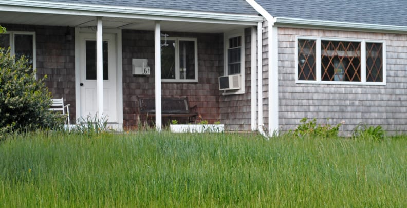 An overgrown lawn won't trouble a home appraiser. [Credit: Flickr user