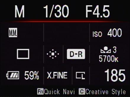 SONY-A900-Info-Display-Simp.jpg