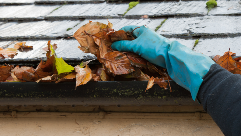 A person clears out a leaf-covered gutter.