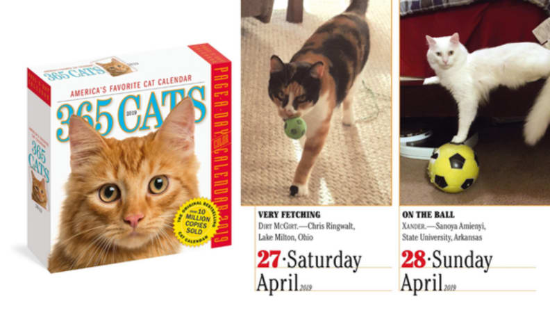 Cat calendar