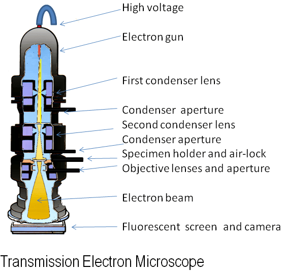 Transmission Electron Microscope
