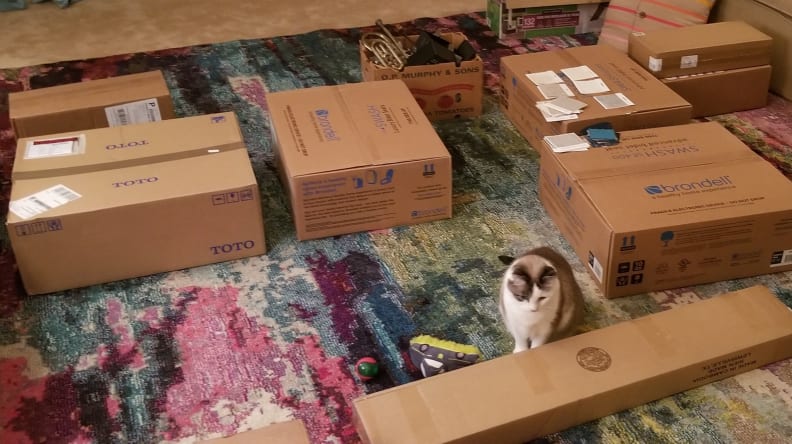 Boxes of bidets spread out on our living room floor