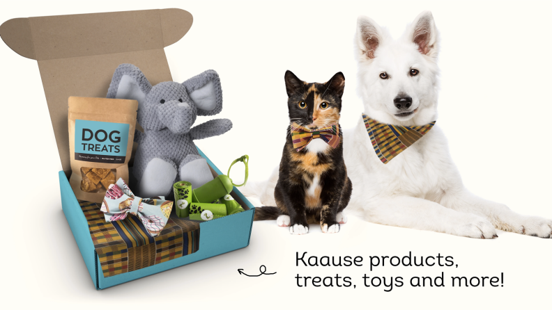 A cat and dog sitting next to a Kaause subscription box