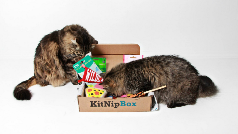 KitNipBox