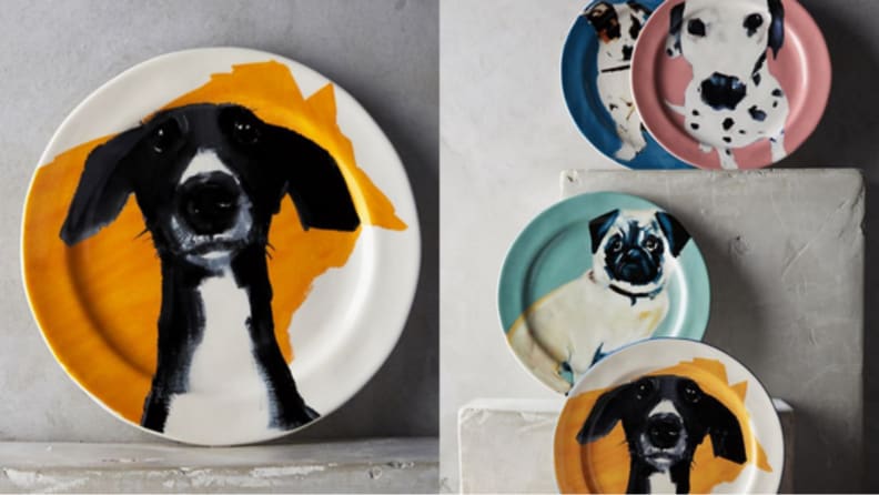 Dog plate