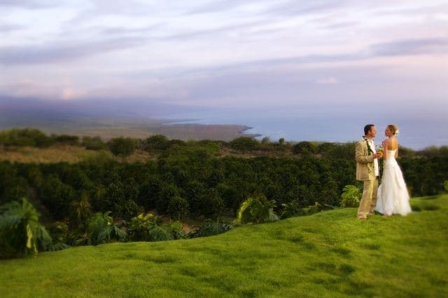 A bride and groom stand on a grassy hill overlooking the ocean