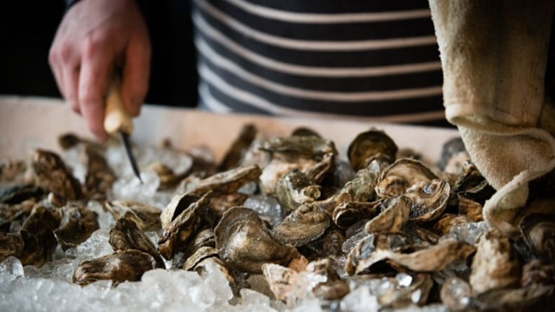 How to care for your oysters