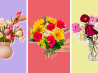 Various flower bouquets in front of colored backgrounds.