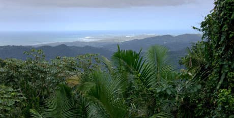 Eastern-Caribbean-460.jpg