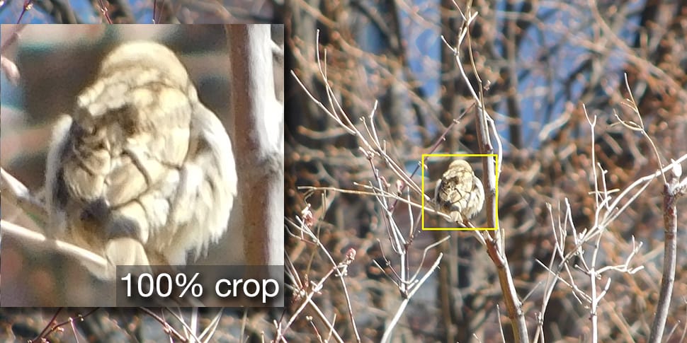 Crop full zoom