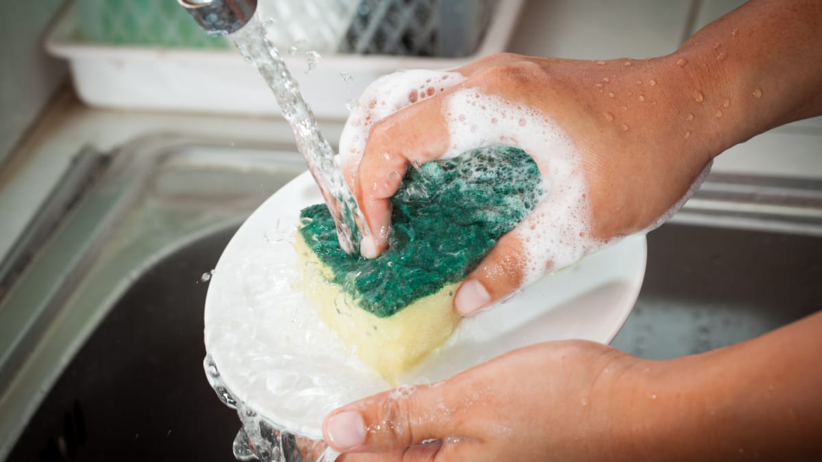 How often should you change your dish sponge best sale