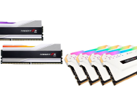 A DDR4 and a DDR5 RAM