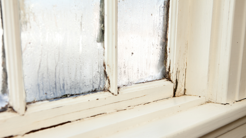 Take a look at your windows and try to figure out where the air is leaking in. It could be that the seal between the glass and the window sash is cracked.