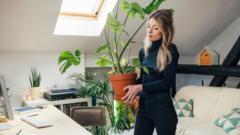 A person moves into a new home while carrying a potted plant.