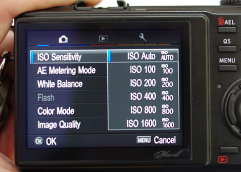 FI Menu Photo