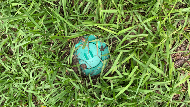 A termite bait station in the ground surrounded by grass.