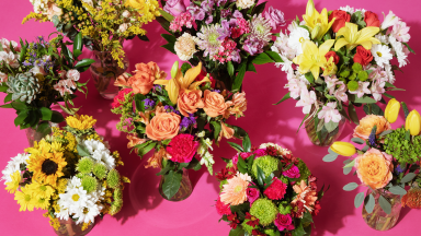 A variety of flowers against a pink background.