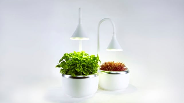 SproutsIO