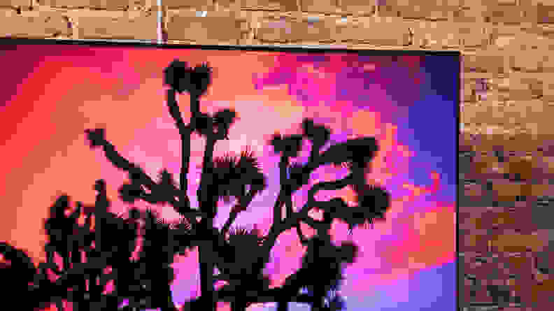 The TV displaying a upper branches of a tree during dusk.
