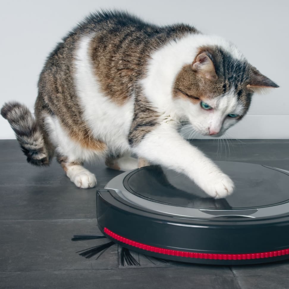 The 4 Best Robot Vacuums for Pet Hair of 2024, Tested and Reviewed