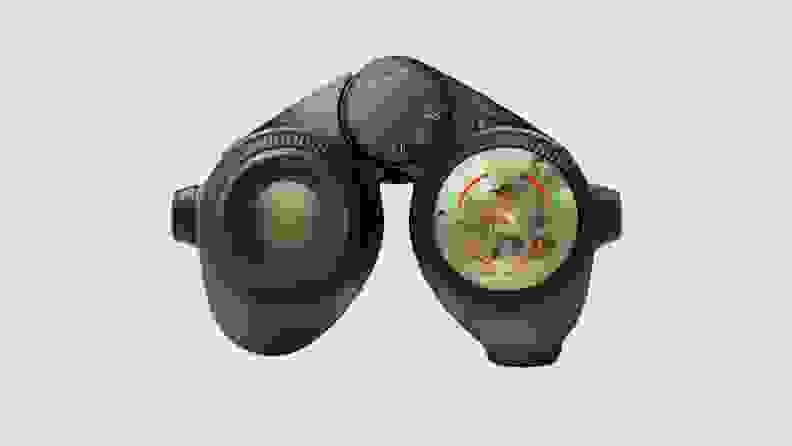 A pair of Swarovski Optik AX Visio smart binoculars with a bird in sight.