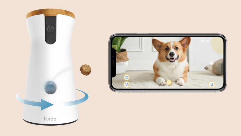 A Furbo Dog Camera and a dog on a phone screen