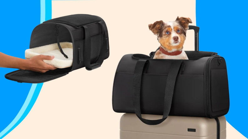On left, person inserting fur bedding into empty black pet carrier. On right, small dog with red collar sitting in black pet carrier on top of gold suitcase.