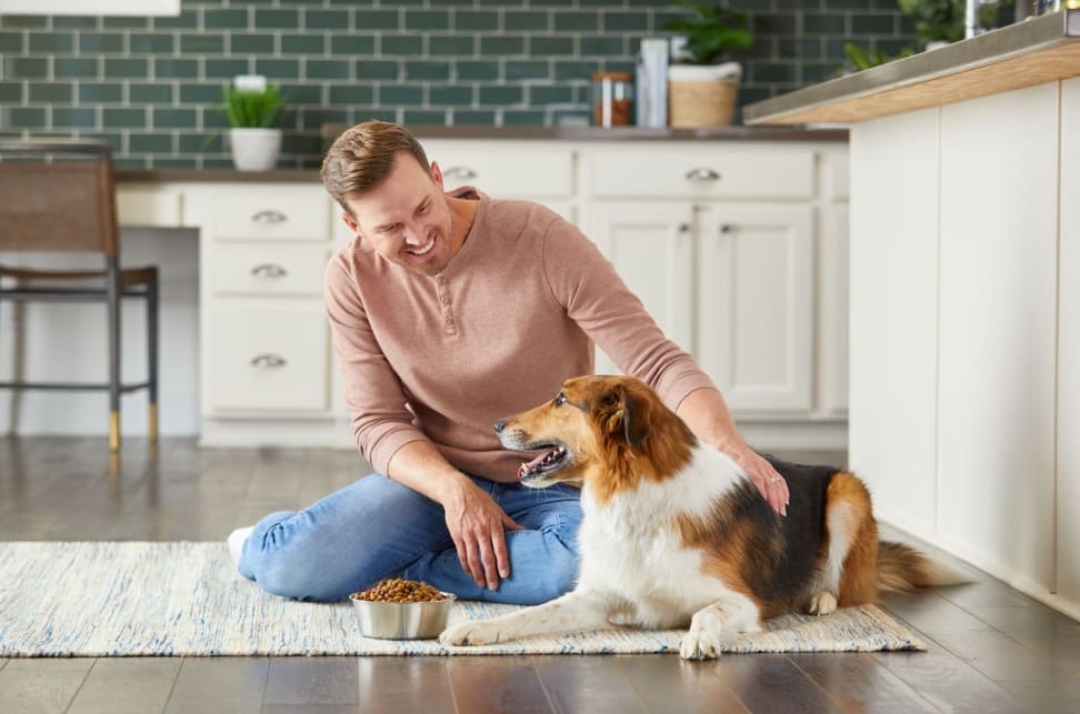 Blonde man and collie dog sit on kitchen floor in front of dog food bowl