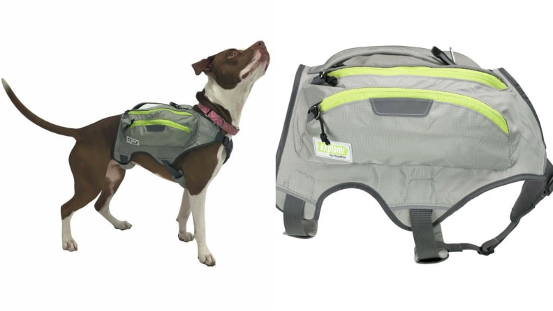 Frontpet Explorer Dog Backpack