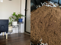 On left, small black worm composting bin on floor next to houseplants. On right, brown soil in composting bin.