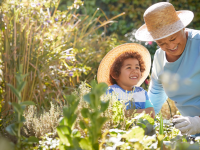 Grandmother and child gardening outdoors in a vegetable garden
