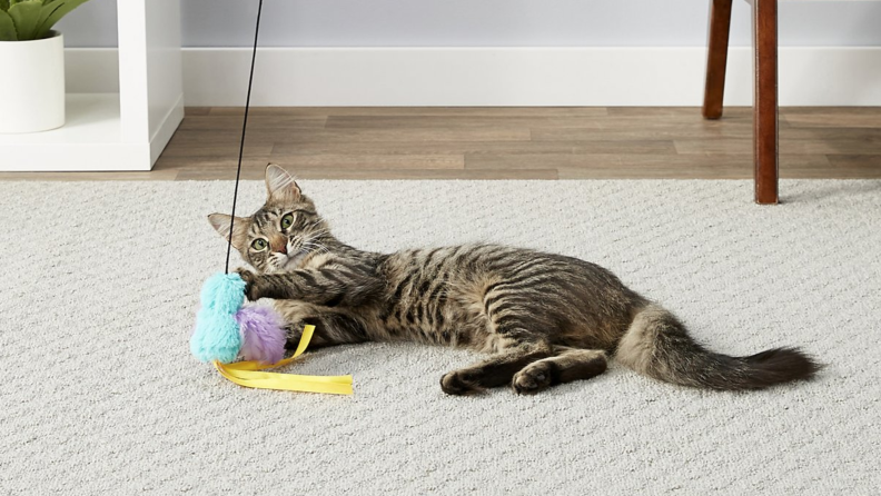 Cats will go crazy chasing around the catnip-filled bird.