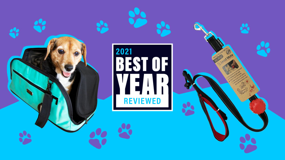 The SleepyPod Air pet carrier and Lead Mate dog leash on a graphic background for Reviewed's Best of Year